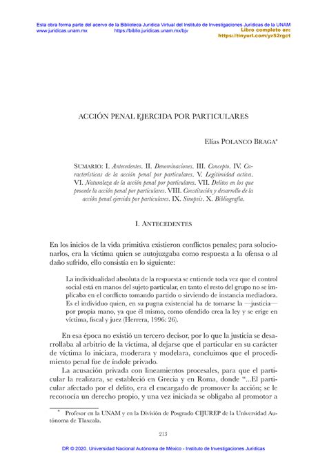 Acci N Penal Ejercida Por Particulares Profesor En La Unam Y En