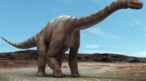 Descubrieron En Chubut Una Especie De Dinosaurio Que Revela Datos