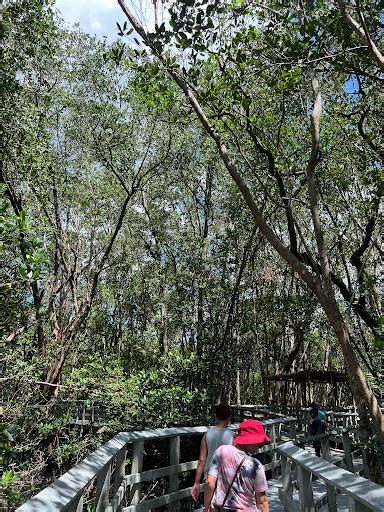 Secret Woods Nature Center Tourist Attraction Fort Lauderdale