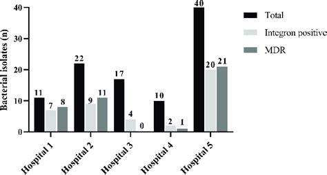 The Number Of Integron Positive And Mdr Pseudomonas Aeruginosa Clinical Download Scientific