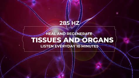 285 Hz Heal And Regenerate Tissues Boost Immune System With Solfeggio Frequencies Youtube