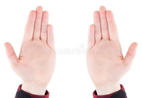 Woman Hands Palm Isolated On White Background Stock Photo Image Of