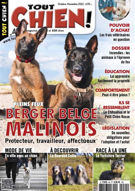 Le Magazine Tout Chien Numero Tout Chien Le Magazine