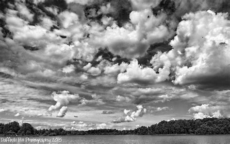 Thursday’s Special: Cloudscape – Daffodil Hill Photography