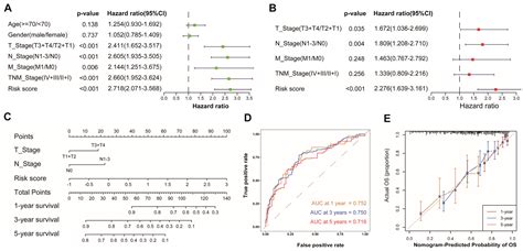 Genes Free Full Text Identification Of An Amino Acid Metabolism Related Gene Signature For