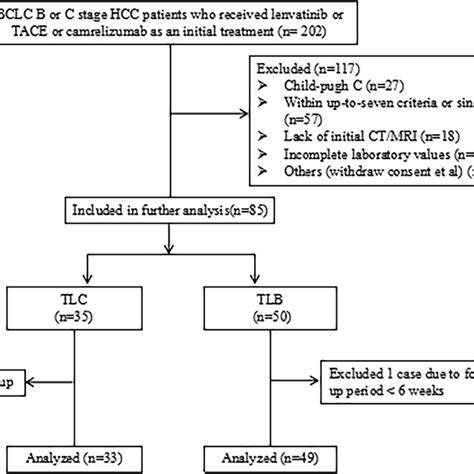 A Total Of 202 Patients Received Tace Or Lenvatinib Or Camrelizumab As