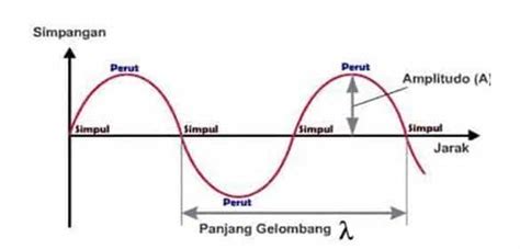 Jenis Gelombang Anamsid