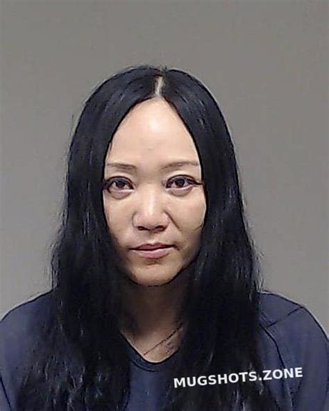 Liu Li 10 06 2022 Collin County Mugshots Zone