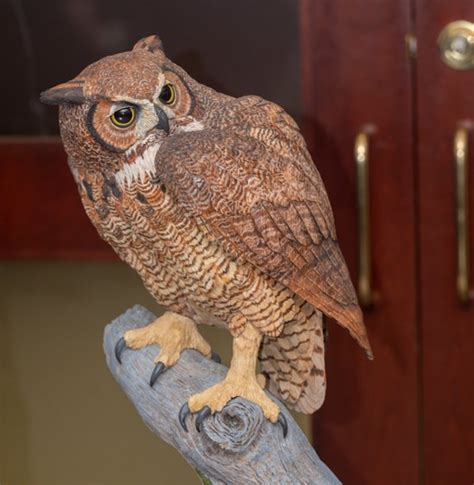 Celebrated Sj Artist Donates Hand Carved Owl To Rowan Rowan Today