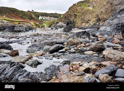 The Beach At Trefin With Rocks And Rock Pools Pembrokeshire Coast