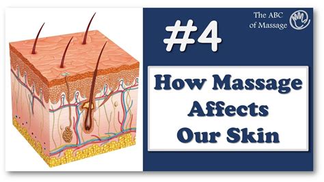 4 Skin Structure For Massage Therapists How Massage Affects Our Skin Massage Lesson Youtube