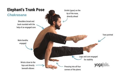 Unlock Inner Strength And Flexibility With Elephant Pose Yoga Learn