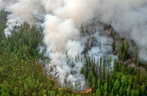 Incendios forestales en Sudamérica África Siberia e Indonesia