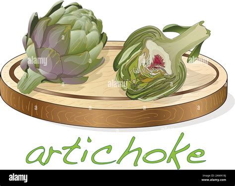 Artichoke On Plate Vector Illustration Set Image Isolated On White Background Stock Vector