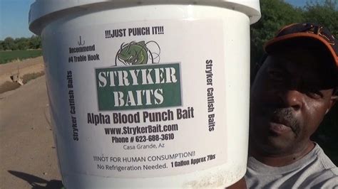 Stryker Punch Bait Night Catfishing Youtube