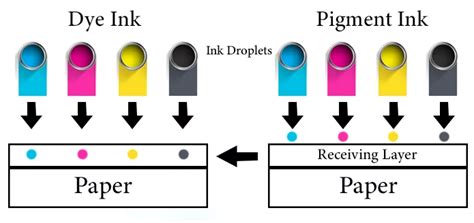 Dye Ink Vs Pigment Ink Which Is Better For Sticker Printing Custom