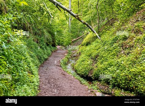 Wandern In Der Drachenschlucht Eisenach Th Ringen Stock Photo Alamy