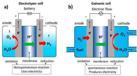 Components Of Electrochemical Cells A Electrolyzer Cell Download Scientific Diagram