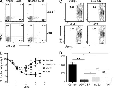 Impact Of Gm Csf And Il 22 Neutralization On Anti Cd40 Induced Colitis