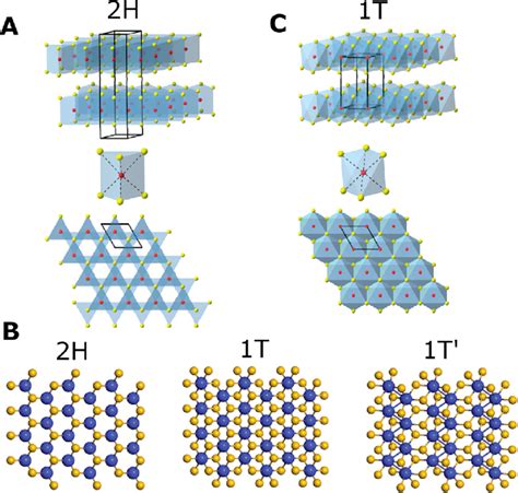 Structural Representation Of The Polymorphs Of Mos 2 Redblue Atoms