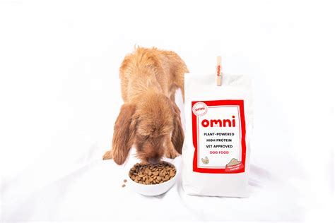 Complete Plant Powered Dog Food – OMNI PET LTD