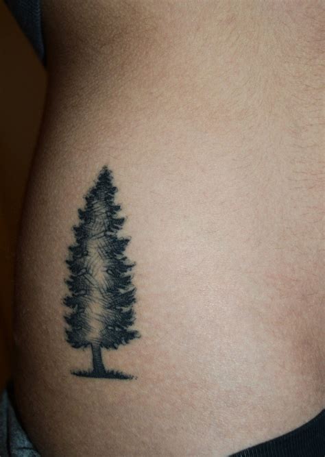 FYeahTattoos.com | Evergreen tree tattoo, Tree tattoo meaning, Tree tattoo