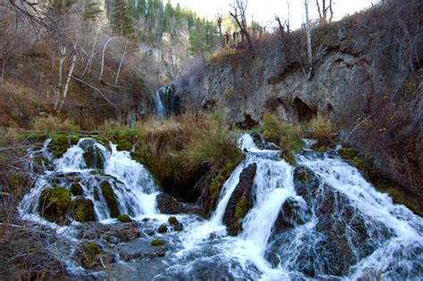 Black Hills Fall Stock Photos Pictures And Royalty Free Images Istock