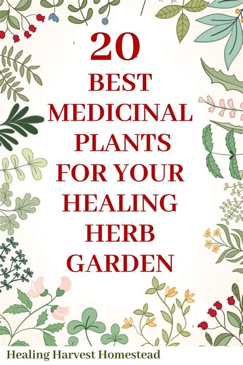 20 Medicinal Herbs To Grow In Your Healing Garden Make Your Own Herbal