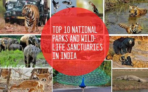 Name Of Famous Wildlife Sanctuaries In India - Infoupdate.org