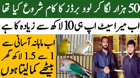 Visit MA 05 Sheikh Love Birds Breeding Setup Love Birds Breeding