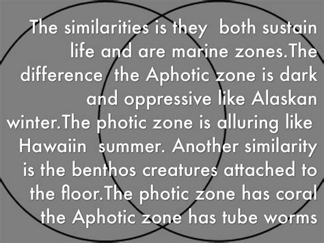 Photic Vs A photic Zones by Nate Hasty