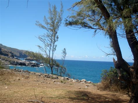 horseback riding | Alex Roque