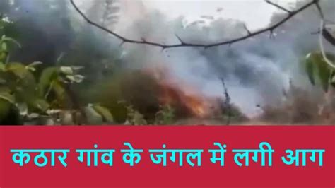 प्रतापगढ़ः अज्ञात कारणों से जंगल में लगी भीषण आग लाखों की वन संपदा हुई