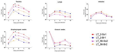 Viruses Free Full Text Experimental Pathogenicity Of H9N2 Avian