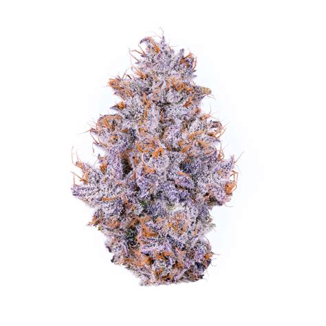 Og Kush Strain Origins Benefits And User Guide Alien Labs