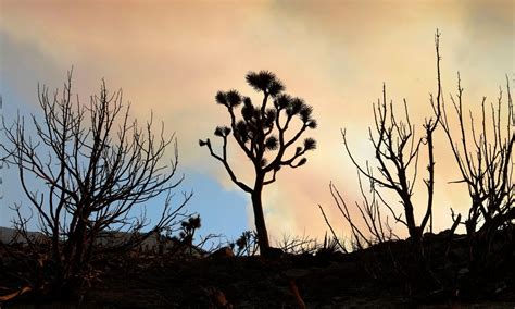 2 homicide victims found buried in Mojave Desert in 1980 identified by ...