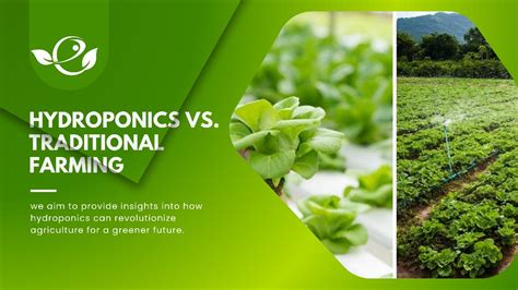 Hydroponic Nutrient Solution The Ultimate Guide