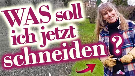 So Geht Gartenarbeit Im Fr Hling Februar Rosen Schneiden