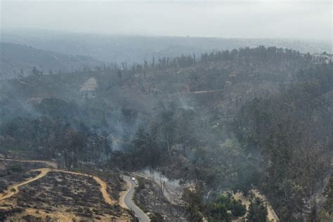 Así amaneció el Jardín Botánico luego de que bomberos confirmara