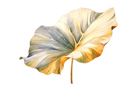 Premium AI Image | Watercolor golden Elephant Ear Tropical Leaves ...