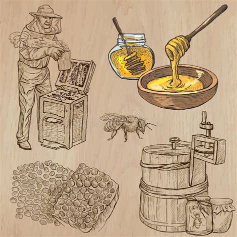 Hand Drawn Honey Beekeeping Bees Collection Vintage Sketch Vector