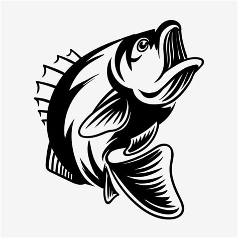 Ilustrasi Vektor Ikan Bass Rinci Untuk Memancing Clipart Memancing Bas Ikan Png Dan Vektor