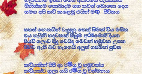 සිතිවිලි කොලපත කවියෙක් හමුවී