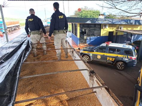 Prf Apreende Carreta Toneladas De Maconha Escondida No Meio De