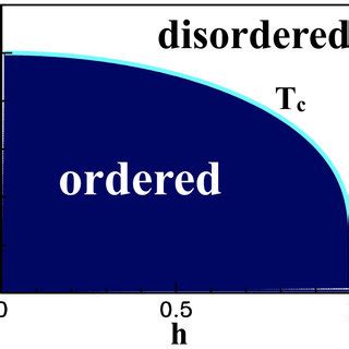 Phase Diagram Of The Fully Connected Quantum Ising Model As A