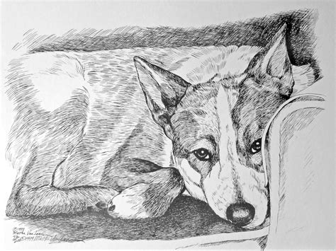 Australian Cattle Dog Art