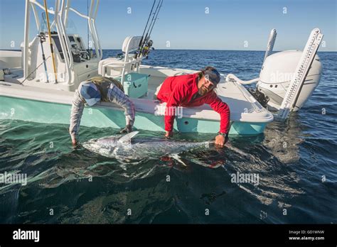 Fishing Boat Tuna Ocean Hi Res Stock Photography And Images Alamy