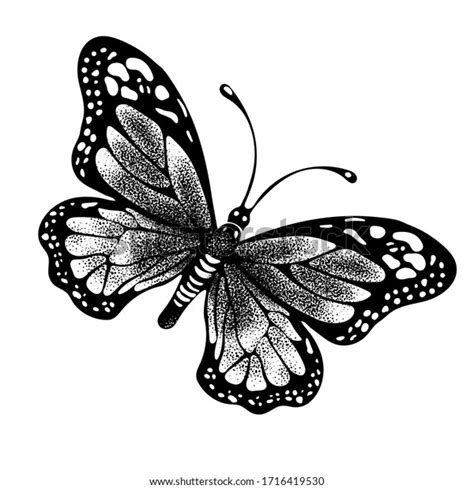 41,013 Butterfly Outline Drawing Images, Stock Photos, 3D objects ...