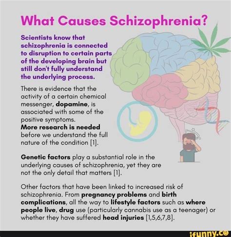 What Causes Schizophrenia? Scientists know that schizophrenia is connected to disruption to ...