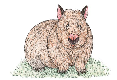 How To Draw A Wombat With Pointillism Zebra Pen